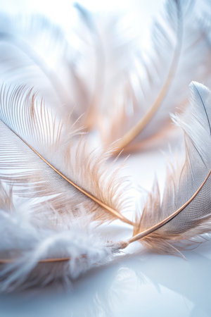 Close-up of delicate white feathers on a soft surface.の素材