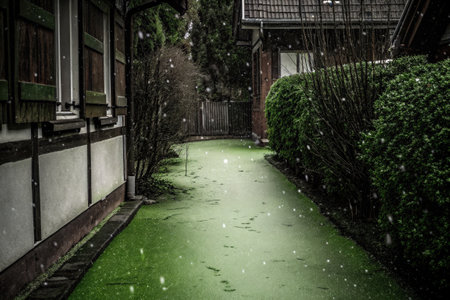 A tranquil green mossy pathway between dense hedges in a secluded gardenの素材
