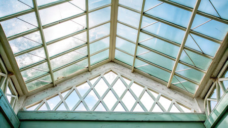 Glass ceiling with intricate metal framework allowing sunlight inの素材