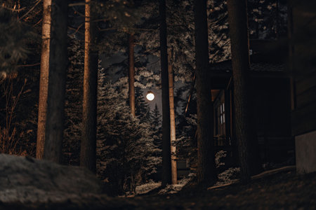 Full moon casting light in a dark forest with silhouetted treesの素材