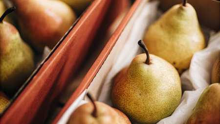 Fresh pears in a wooden crate arranged beautifully with soft natural lightingの素材