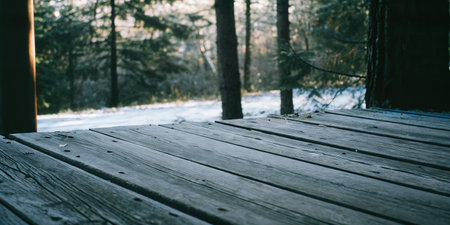 Wooden Deck in Serene Forest Settingの素材