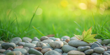 autumn leaf on the pebble stones with green nature backgroundの素材