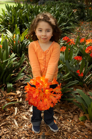 Little girl with a bunch of clivia miniata (bush lilies) from the gardenの写真素材