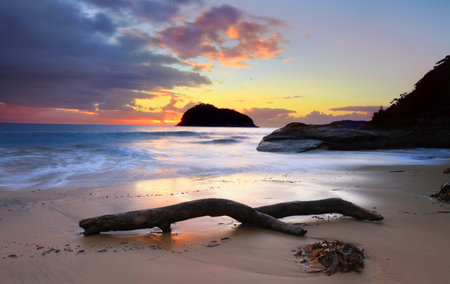 Sunrise behind  Lion Island, Australia   Lion Island is a nature reserve and part of Austalian National Heritage Listの写真素材