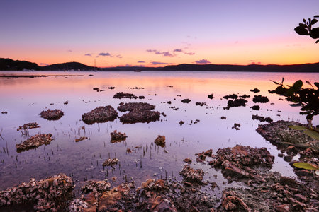 Tidal shallows at sundown looking across the Brisbane waters towards Saratoga and Woy Woy at dusk ...