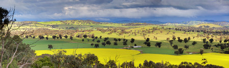 Looking down over fields of canola, wheat  and grazing pastures with menacing storm clouds looming overhead and offering large downpours of heavy rain intermittently.  NSW,Australia  Shot at 1250 iso.の写真素材