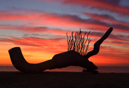 BONDI, AUSTRALIA - 23 OCTOBER, 2014; Sculpture by the Sea Annual Festival Event 2014.  Exhibit titled Currawong  by Lou Lambert, WA.  Silhouette against a spectacular sunrise sky. Materials, hard wood, rope, wire, copper.   Price $38500のeditorial素材