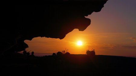 BONDI, AUSTRALIA - OCTOBER 27, 2014; Sculpture by the Sea Annual free public event 2014.  Exhibit titled Look Who's Here  by artist Janaki Lele, NSW silhouetted against a beautiful sunrise sky  Materials, paper mache, sand, varnish,のeditorial素材