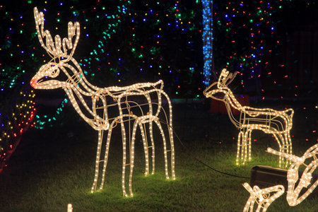 BEAUMONT HILLS, AUSTRALIA; DECEMBER 24, 2014; Brightly lit  by led tube lights reindeer in garden - Christmas decorations with background coloured party led lights.のeditorial素材