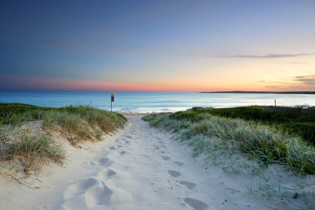 The sound of the waves and rustling leaves along the sandy beach trail at sundown.  Last light Greenhills Beach, Australiaの写真素材