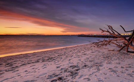 Sunset at Silver Beach, Botany Bay, Sydney with Port Botany and city of Sydney in the far distance.の写真素材