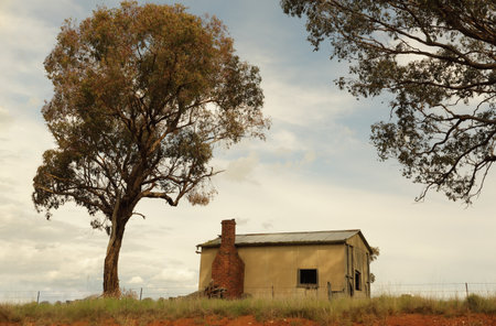 Abandoned old dwelling with brick chimney in rural NSW town of Mandurama, Australiaの写真素材