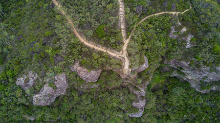 Overhead view of a lookout point and tracks leading in.  Blue Mountains Australiaの写真素材