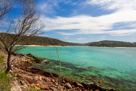 Spectacular beaches clear pristine waters, flanked by gum trees, white sands and red ochre rocks.  Australiaの写真素材