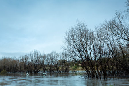 Flood waters engulf large areas included  this road, signs just above the water line.  The river rose 4 metres above the road in this floodの写真素材