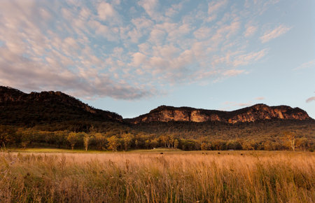From the valley to escarpment viewsx across paddocks with tall slender dry  grasses to mountains with sheer sandstone cliffs.の写真素材