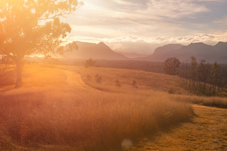 Sunlight bursting through the valley across the landscape with long grasses in foreground and irregular shaped mountains silhouetted in the background.  The light gives a soft diffused look to the landscape perfect for overlays or textの写真素材