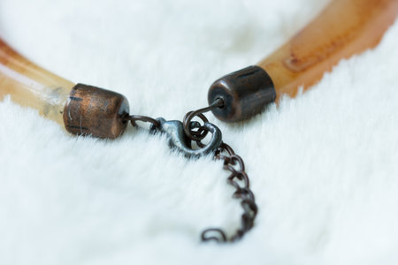 Two ends of lady's necklace are linked together by chains and a hook.の写真素材