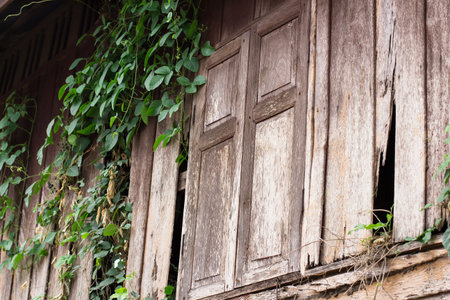 An old house has been abandoned for years. Some plants grow on the house due to none of care and attention.の写真素材