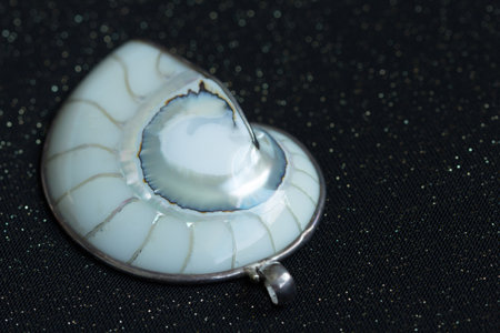 A neck pendant made of white nautilus shell, is well-polished. Its surface reflects brightly in a mild sunlight.の写真素材