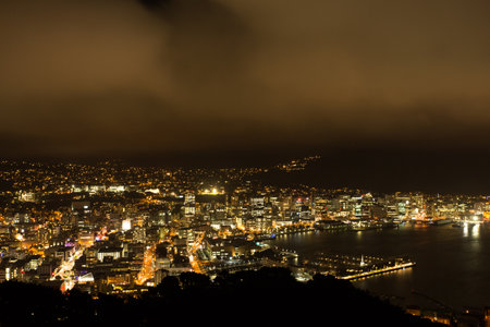 Wellington, New Zealand at night from the Mount Victoria Lookout.の写真素材