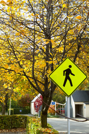 Leaves turning into yellow in fall, are at a historic gold mining town called Arrowtown of New Zealand. A man-crossing sign on roadside warns drivers to be cautious of tourists.の写真素材