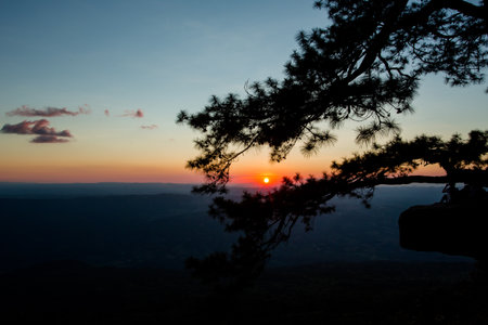 Phu Kradueng National Park, is the highland located in the north-east of Thailand. There are some view points along the south edge of the highland. The Lomsak Cliff is unique because of the natural rock terrace protruding into the air.の写真素材