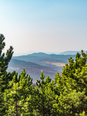 Panoramic view of Pilis mountains  in Hungaryの写真素材