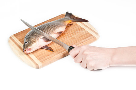 Hand cutting fresh fish on the board on white backgroundの写真素材