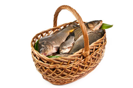 Fresh fish in a basket isolated in whiteの写真素材