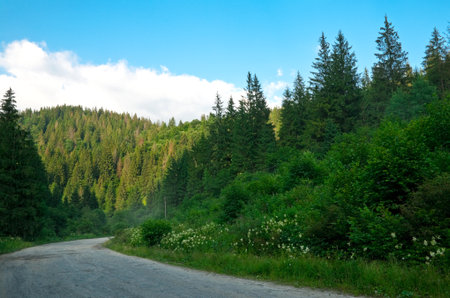 Road in the mountains. Landscape.の写真素材