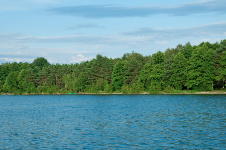 Lake in summer near the forestの写真素材