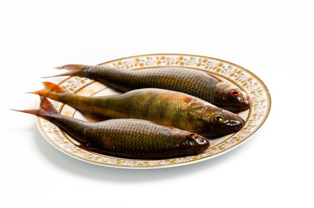 Fresh fish on plate on white background