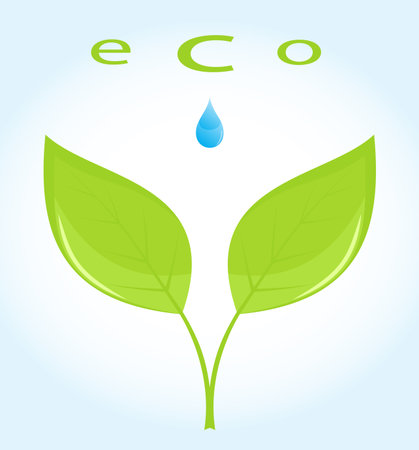 Two green leaves and water drop. Vector illustration.のイラスト素材