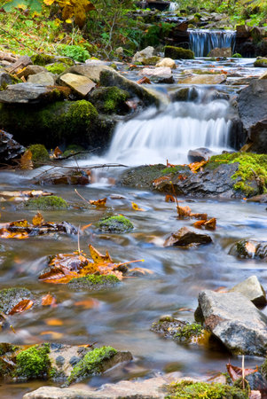 Mountain stream in Autumnの写真素材