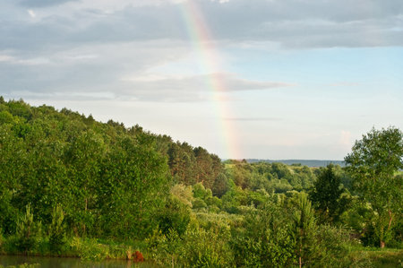 Rainbow in the dark sky in the summer evening in countryside.の写真素材