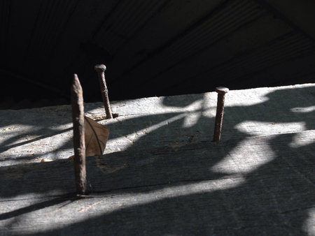 Rusty nails on woodの素材
