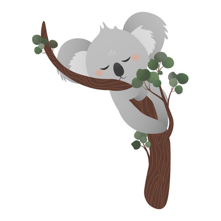 Cute koala bear sleeping on eucalyptus tree while hugging tree in cartoon style on white background, vector stiker for kids, childish animal characterのイラスト素材