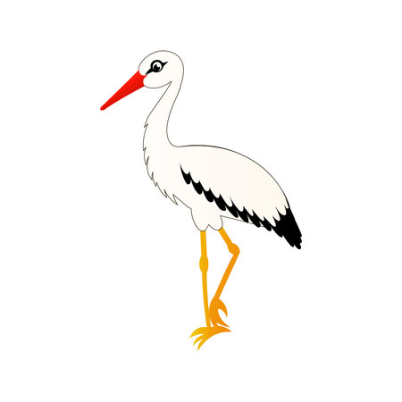 Crane bird isolated on white background in cartoon style, stork stands on one leg, design element, bird themeのイラスト素材