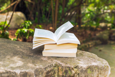 Books stack on a rock with vegetation in the backgroundの写真素材