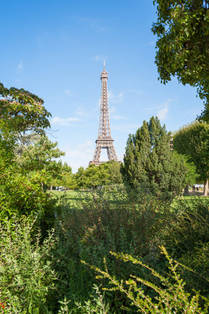 Eiffel tower in the middle of trees against blue sky in Parisの写真素材