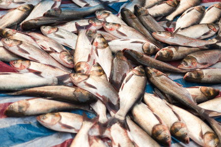 fresh fishes on a chinese marketの写真素材