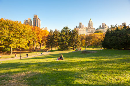 People in Central Park in autumn with clear blue skyのeditorial素材