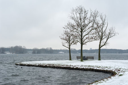 Snowy landscape with trees and a lake in a parkの写真素材