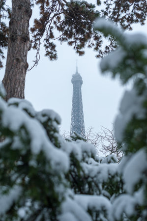Eiffel tower under the snow behind trees from the Trocadero gardens in winter in Paris, Franceの写真素材