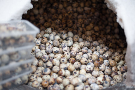 Quail eggs in a street market in Shanghai, Chinaの写真素材