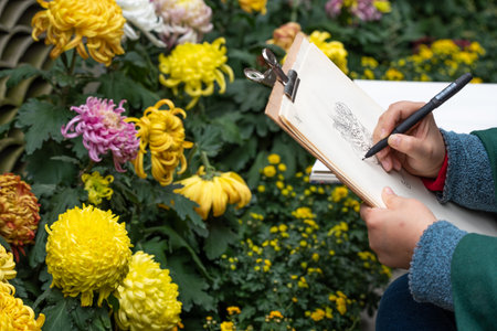 Chengdu, Sichuan province, China - Nov 3, 2018 : Woman drawing chrysanthemum flower during Chengdu Autumn Chrysanthemum Exhibition in peolples parkのeditorial素材