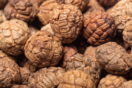 Alpinia Hainanensis K Schum seeds fruits heap extreme close-up viewの写真素材