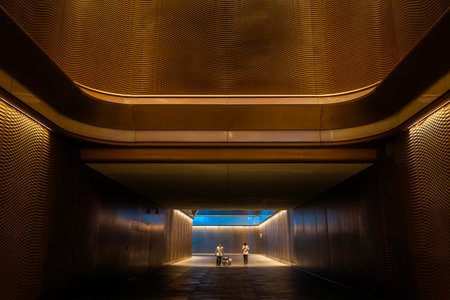 Chengdu, Sichuan province, China - July 4, 2023 : SKP modern commercial mall architecture at night...